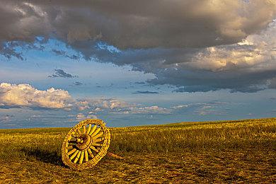 《宝可梦：大集结》本周新增宝可梦列阵兵